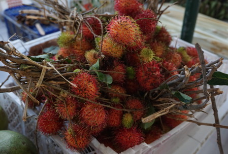 rambutan - a delicious tropical fruit similar to lychee. It would be amazing in a cocktail.